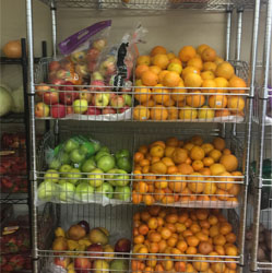 Healthy Pantry Program