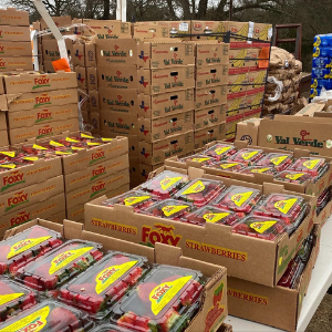 Mobile Pantry_featured