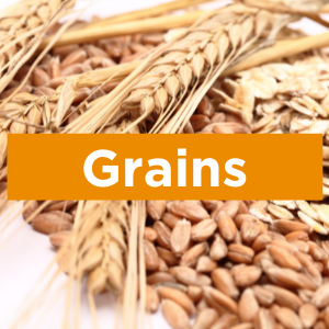 Grains