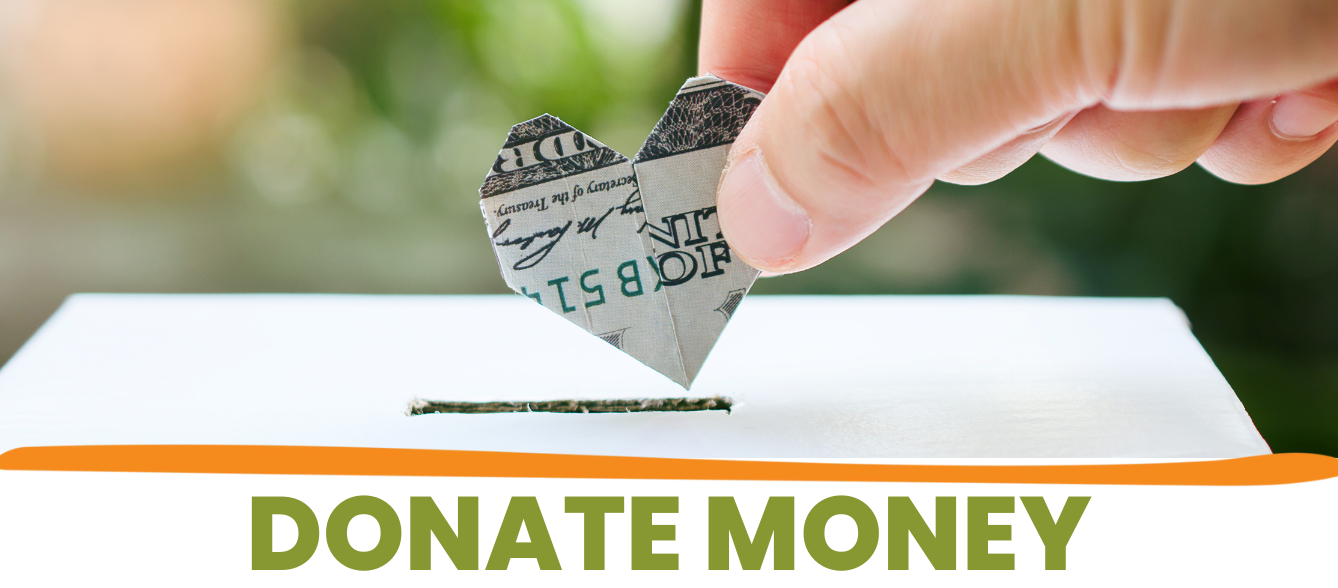 Donate Money